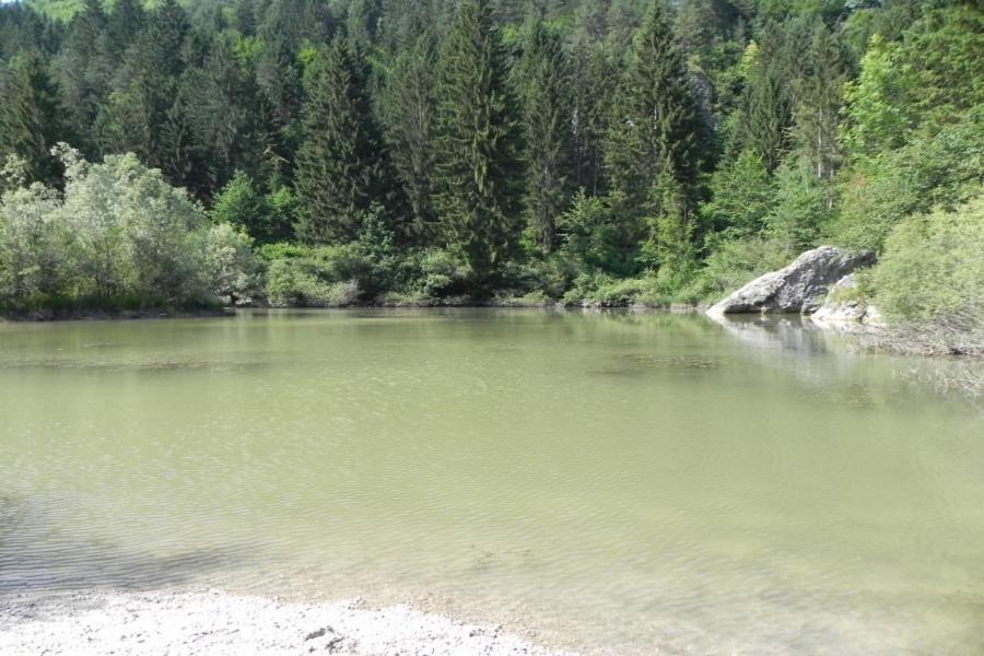 Sava River House - Apartments Μπλεντ Εξωτερικό φωτογραφία